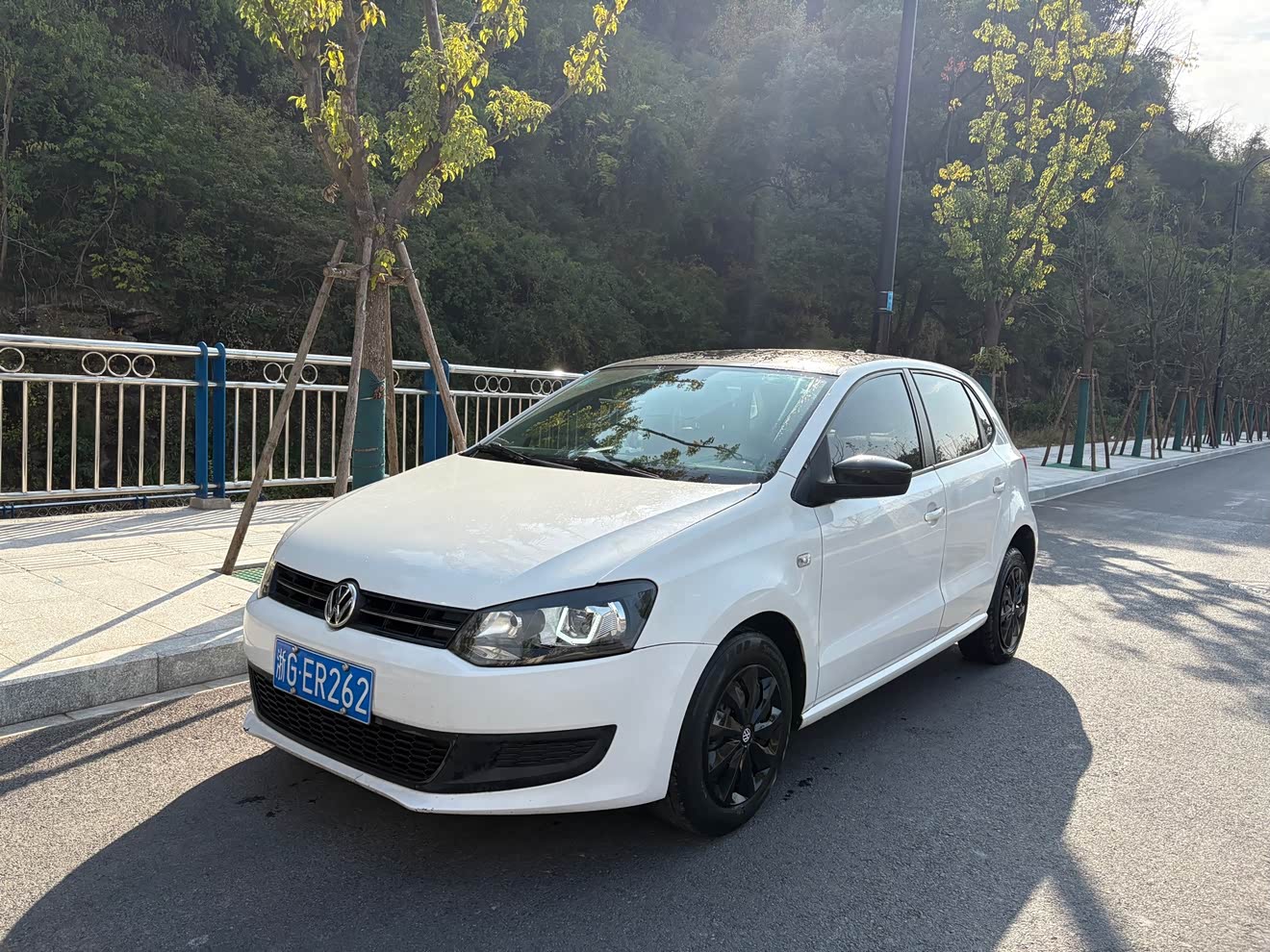 Volkswagen Polo 2014 car image 