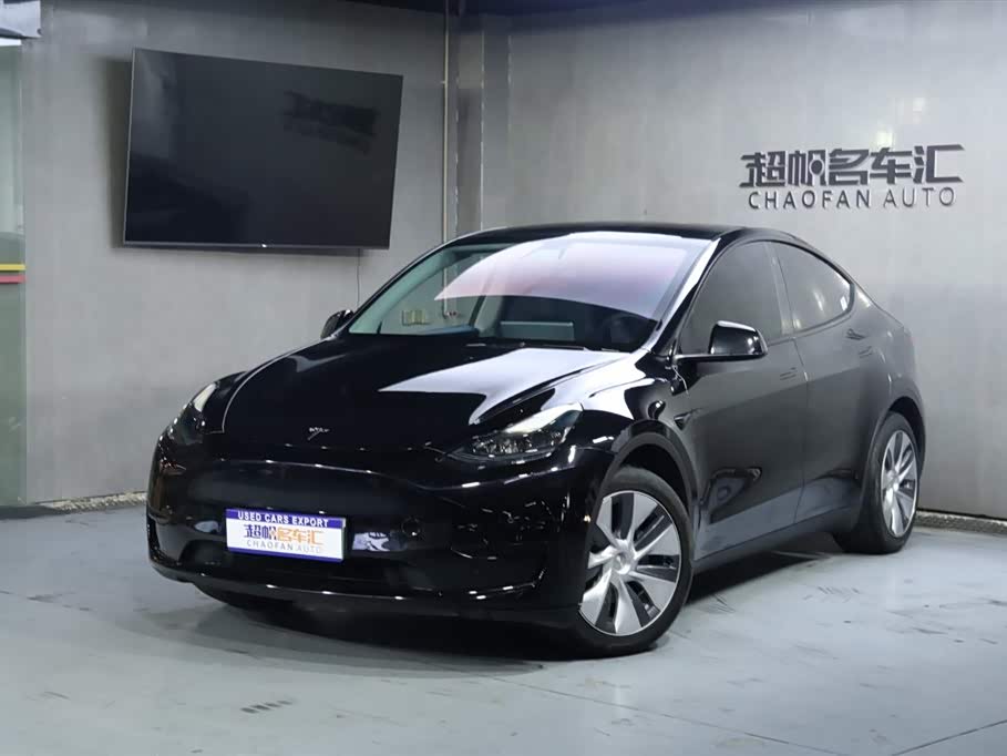 Tesla Model Y 2022 car image 