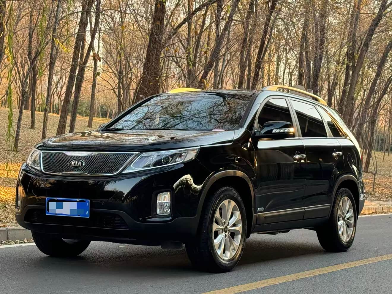 Kia Sorento 2014 汽车图片 