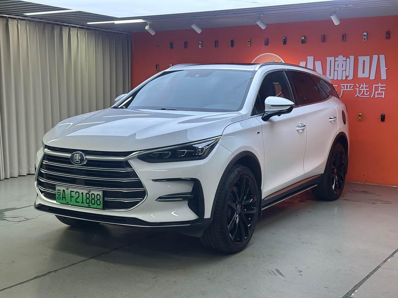 BYD Tang New Energy 2021 BYD Tang New Energy 2021 immagine di auto