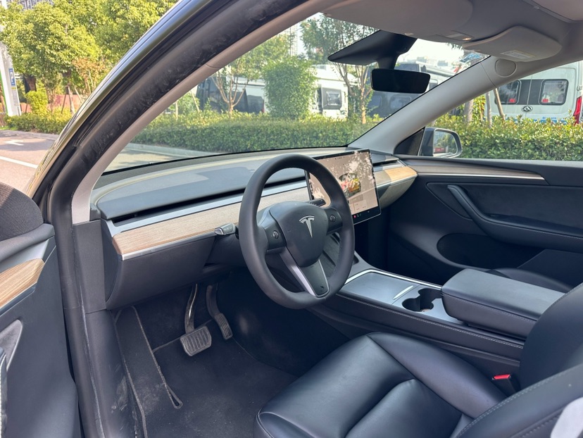 Tesla Model Y 2022 صورة سيارة #8
