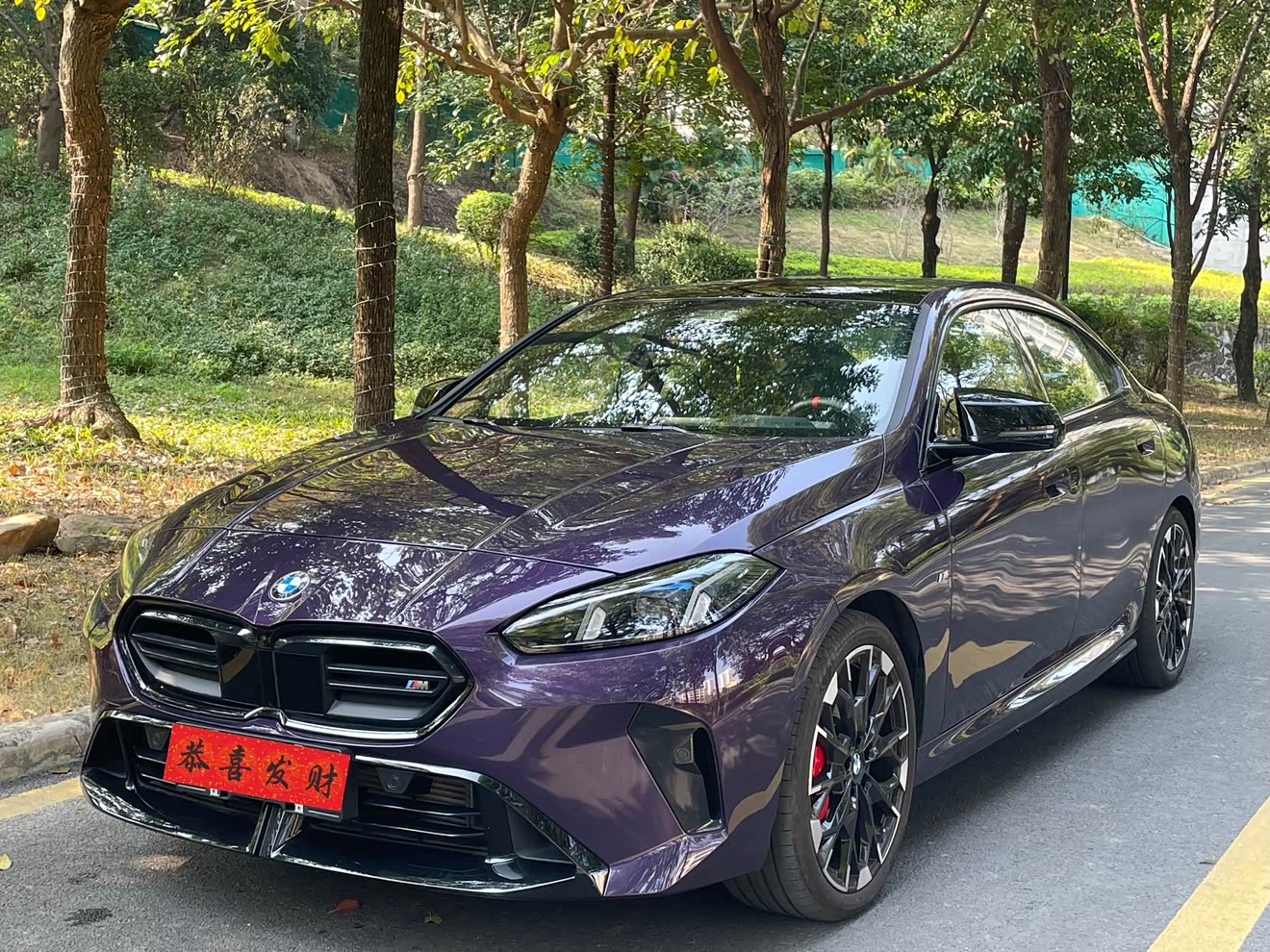 BMW M235L 2024 car image 