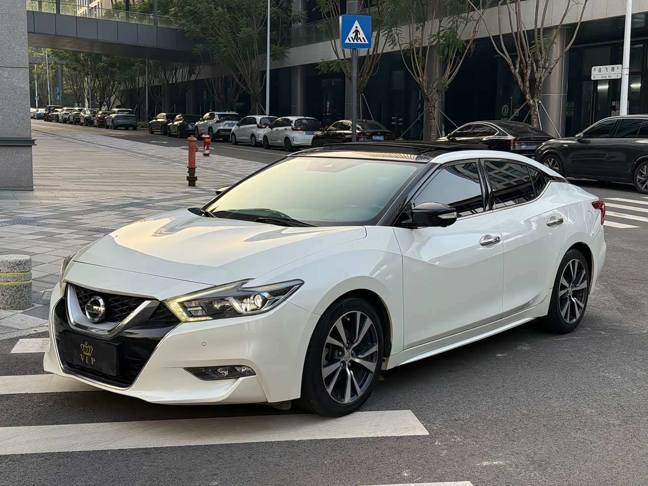 Nissan Maxima 2018 汽车图片 