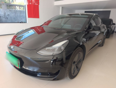 Tesla Model 3 2022 Tesla Model 3 2022 car image