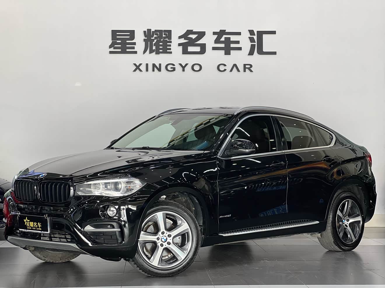 BMW X6 2015 car image 