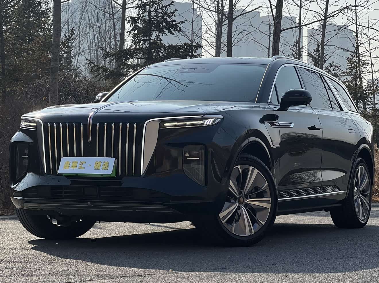 HongQi E-HS9 2023 car image 