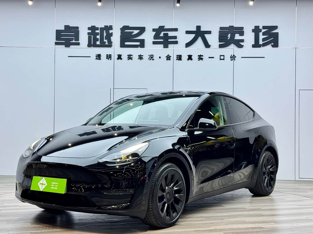 Tesla Model Y 2021 Tesla Model Y 2021 car image