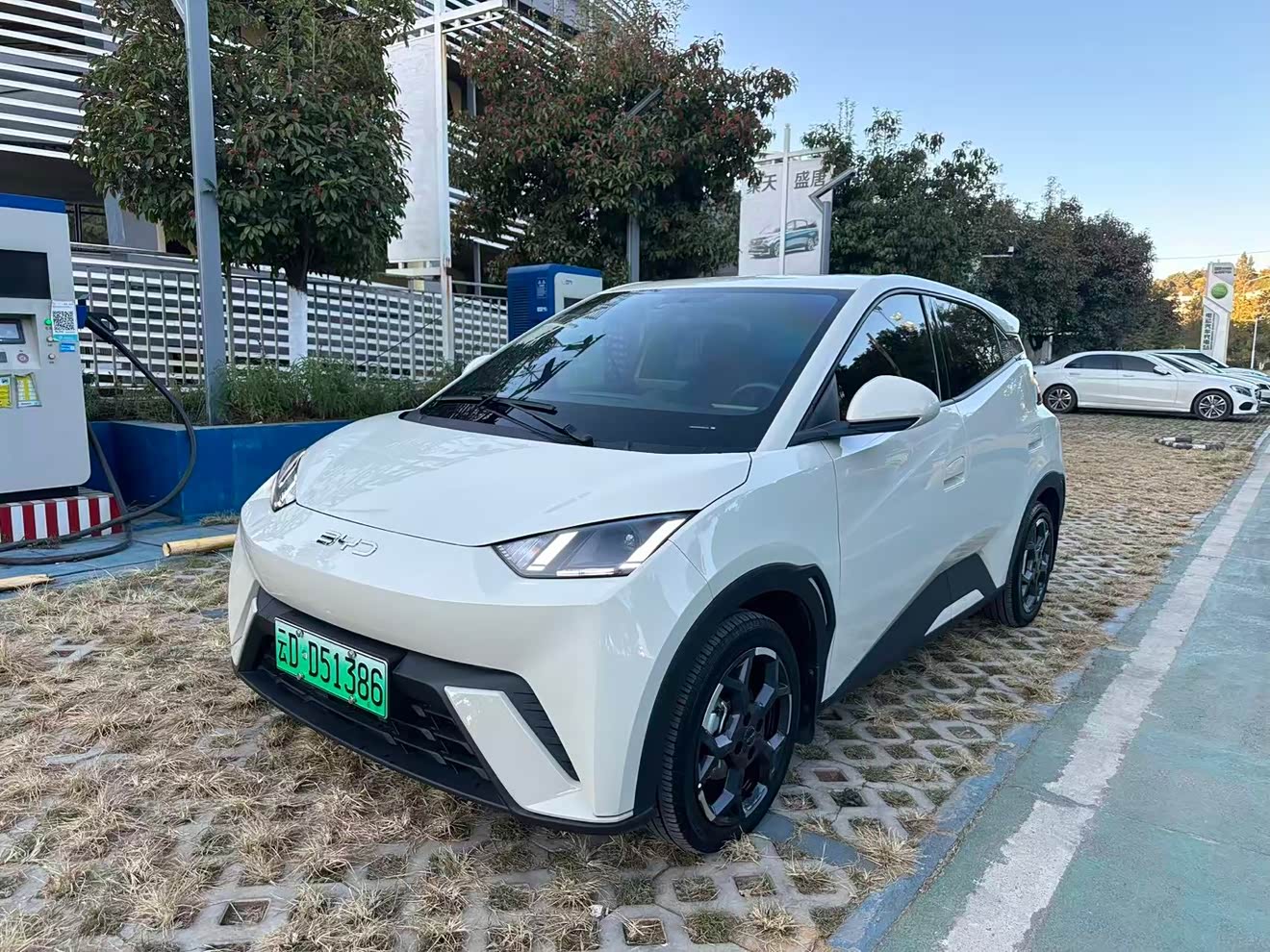 BYD Seagull 2024 BYD Seagull 2024 car image