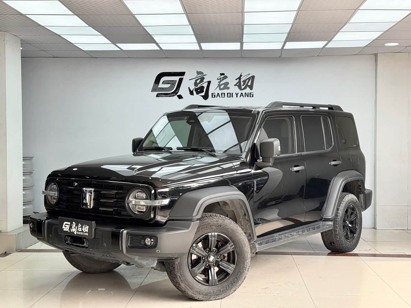 Tank 300 2022 Tank 300 2022 car image