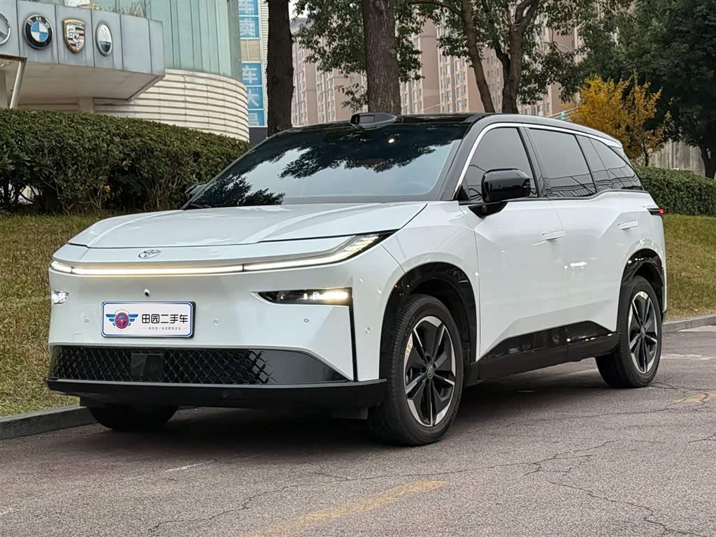 Toyota Bozhi 3X 2025 汽车图片 