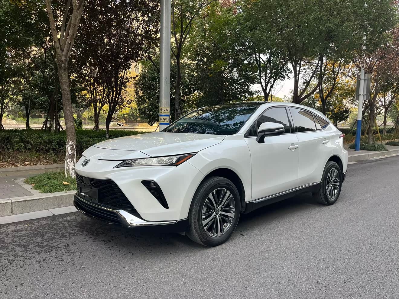 丰田 威飒 2023 汽车图片 