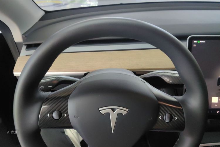 Tesla Model Y 2023 car image #13