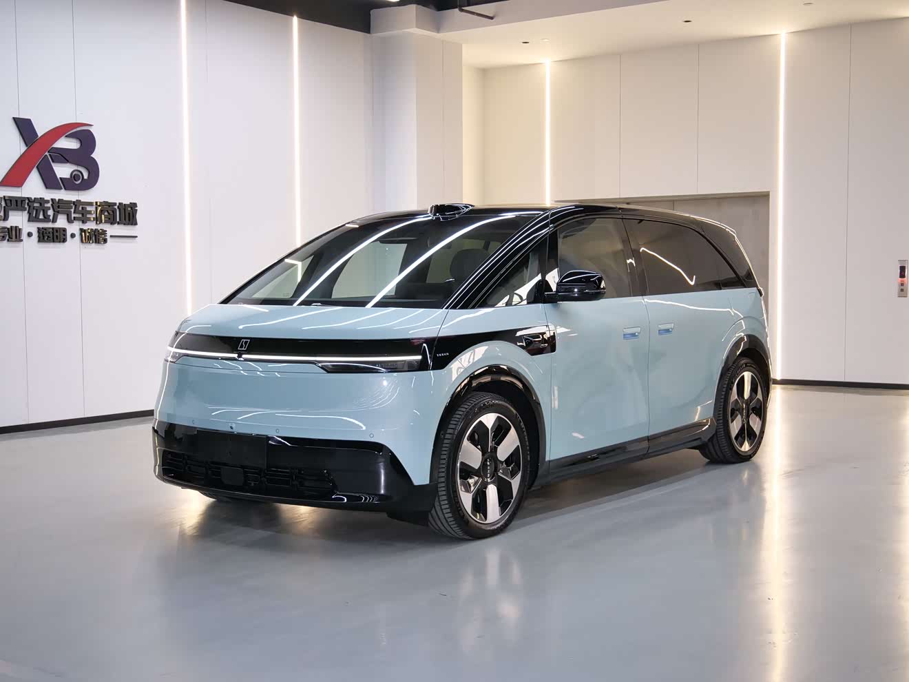 Zeekr MIX 2024 汽车图片 