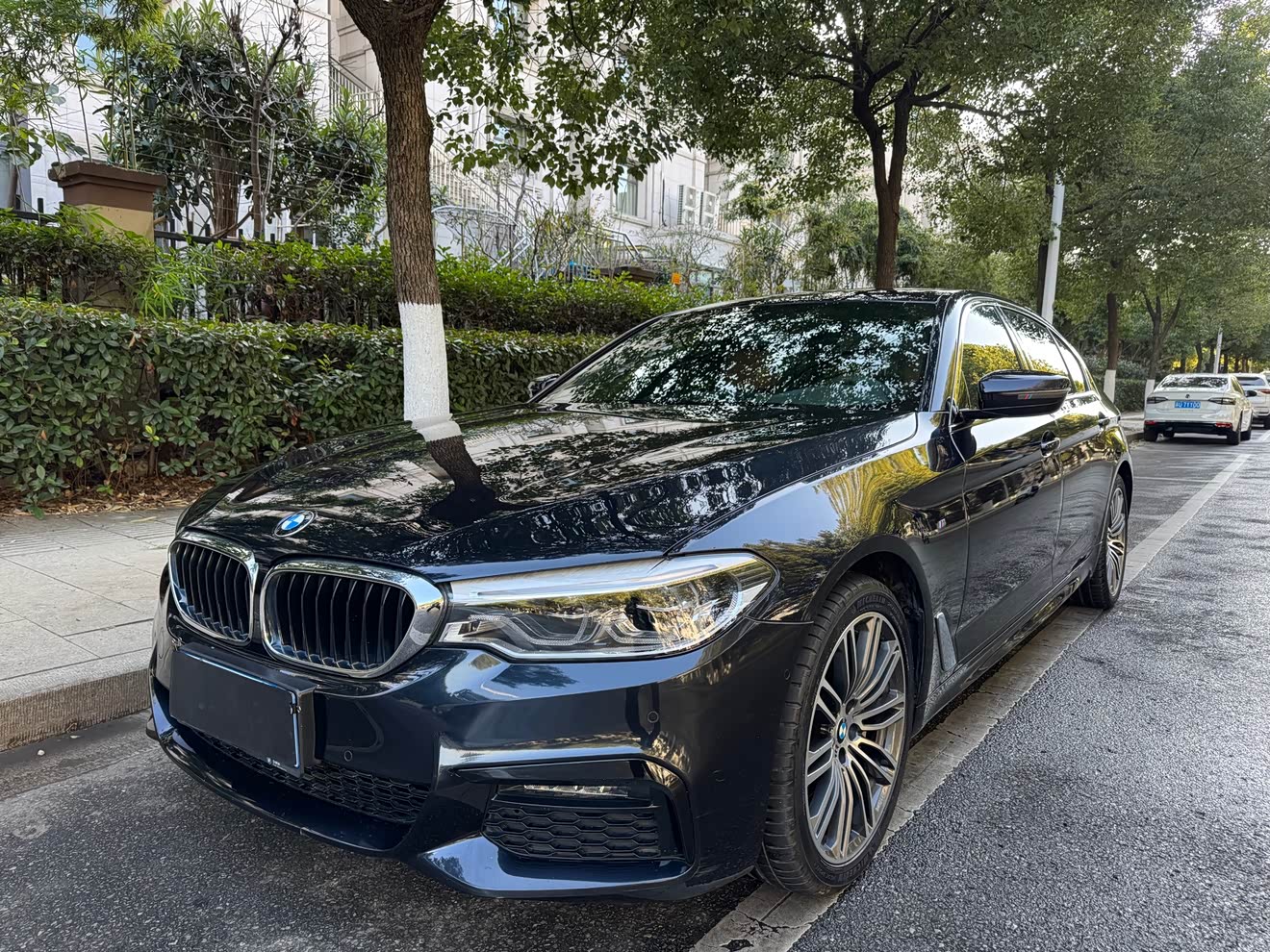 BMW 5 Series 2018 BMW 5 Series 2018 car image