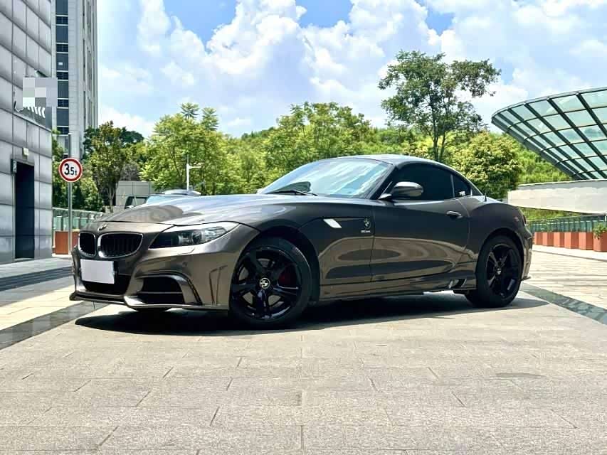 BMW Z4 2010 BMW Z4 2010 car image