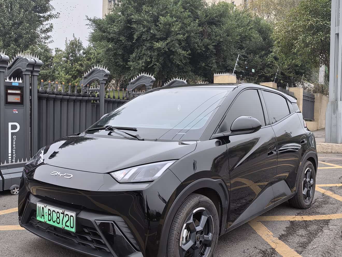 BYD Seagull 2024 car image 