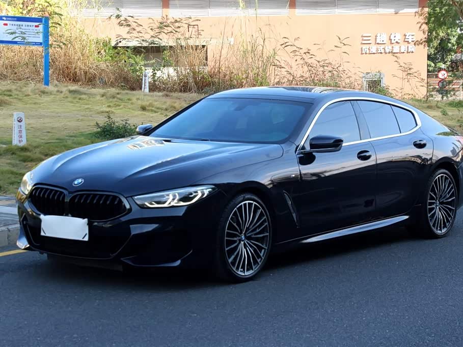 BMW 8 Series 2020 car image 