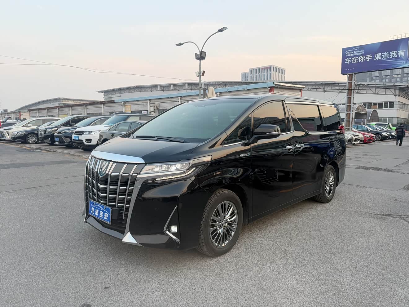 丰田 埃尔法 2022 汽车图片 