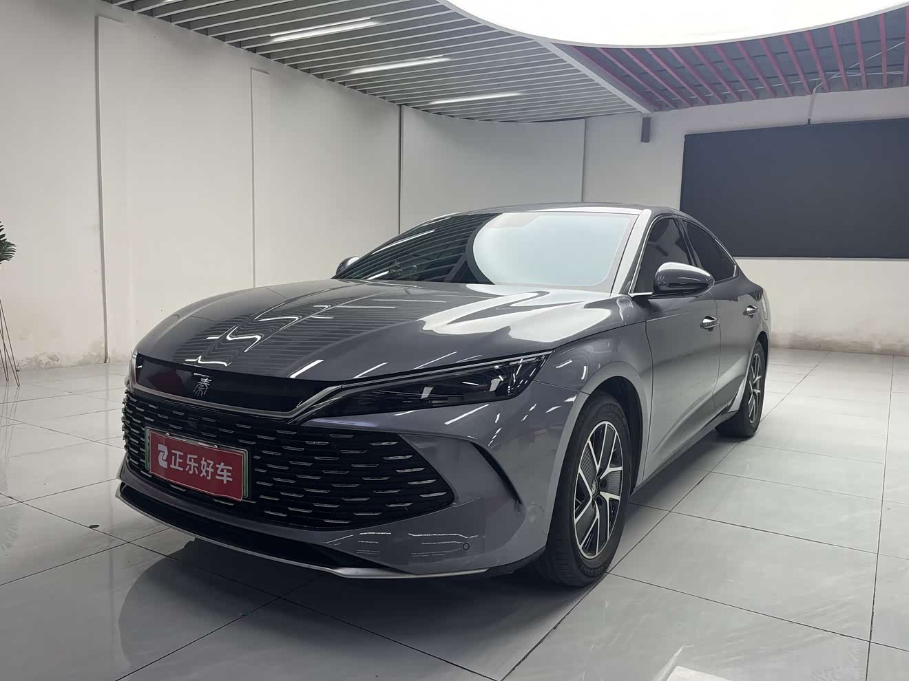 BYD Qin Plus 2024 BYD Qin Plus 2024 car image