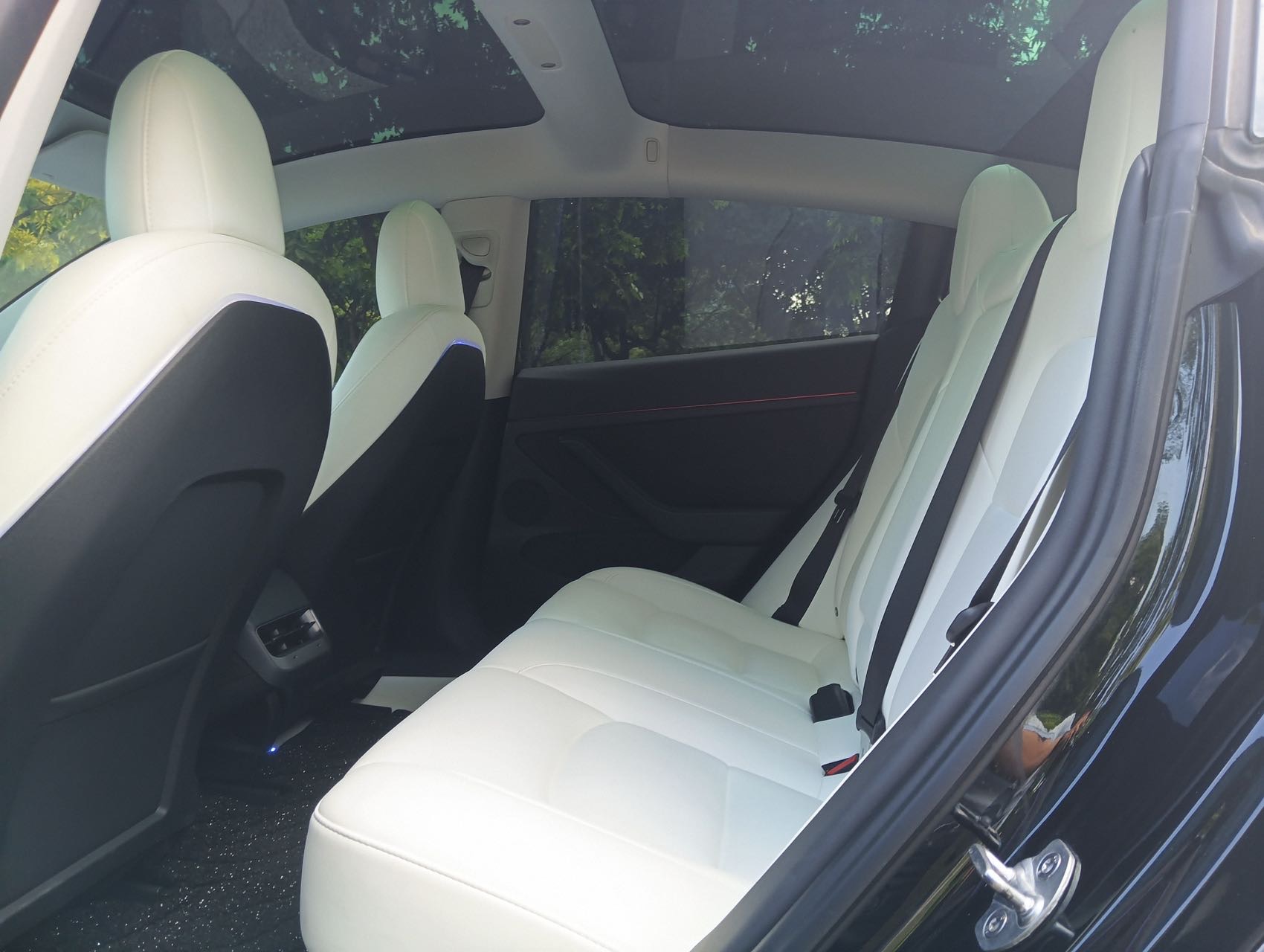 Tesla Model 3 2023 #5 Tesla Model 3 2023 car image #5