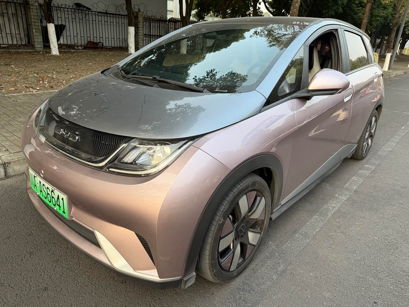 BYD Dolphin 2022 car image 