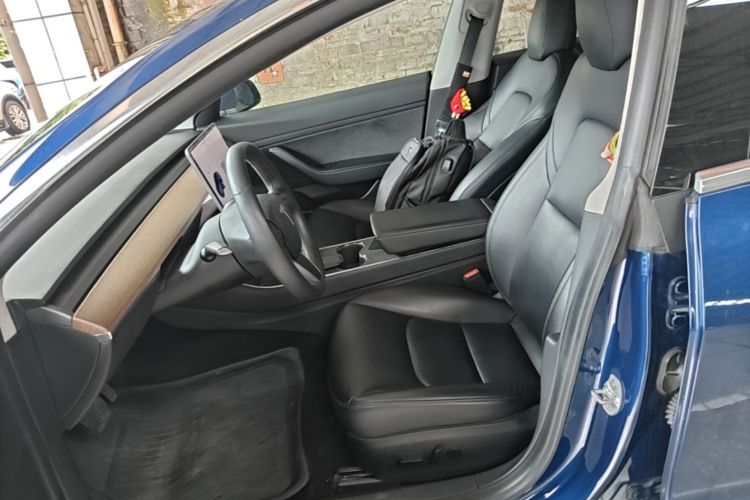 Tesla Model 3 2020 car image #15