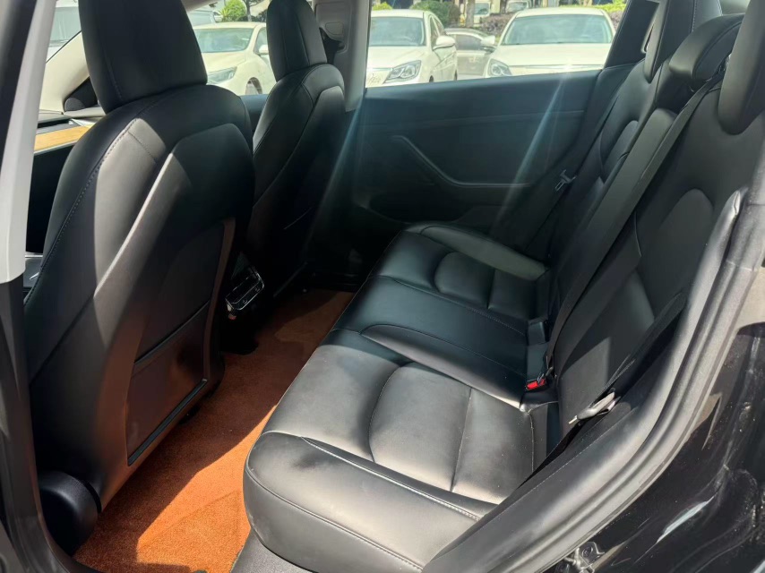 Tesla Model 3 2021 immagine di auto #6