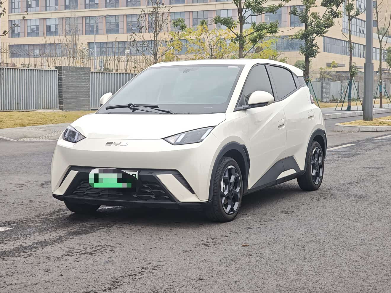 BYD Seagull 2025 car image 
