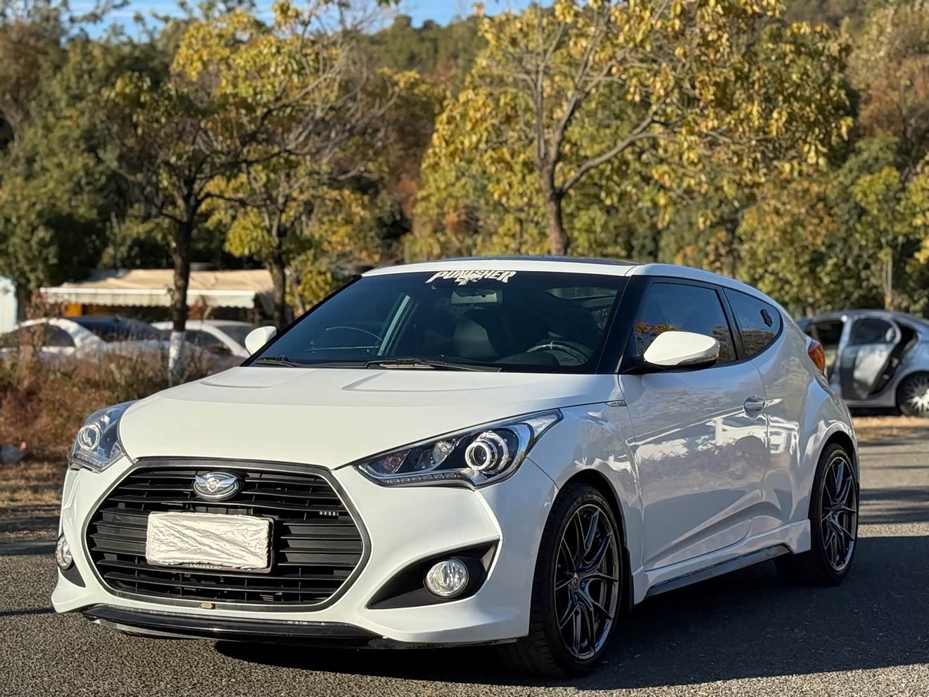 Hyundai Veloster 2017 car image 