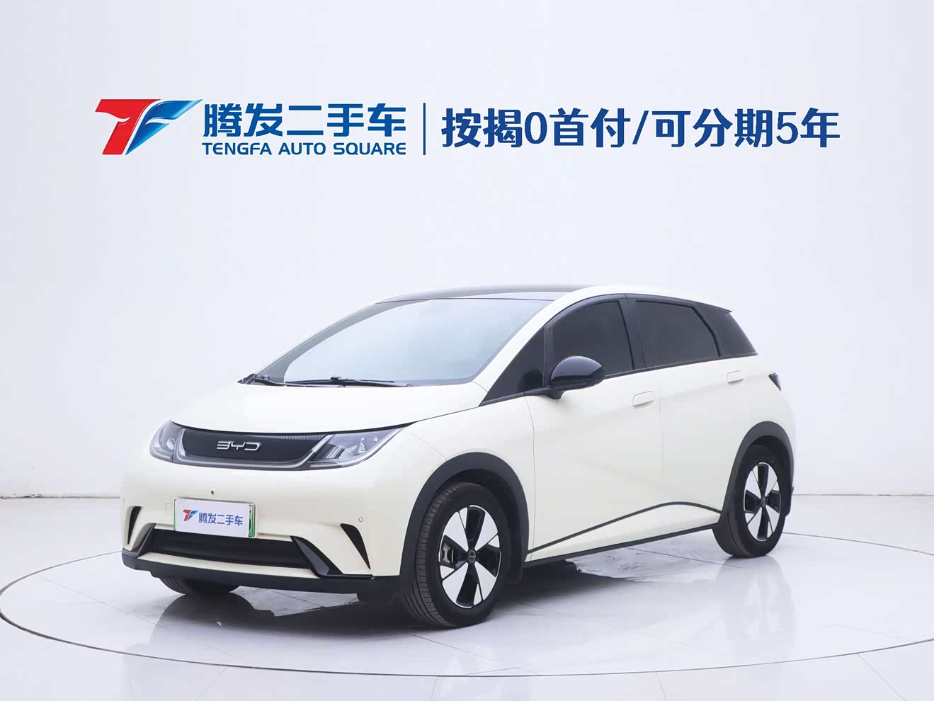 BYD Dolphin 2023 car image 