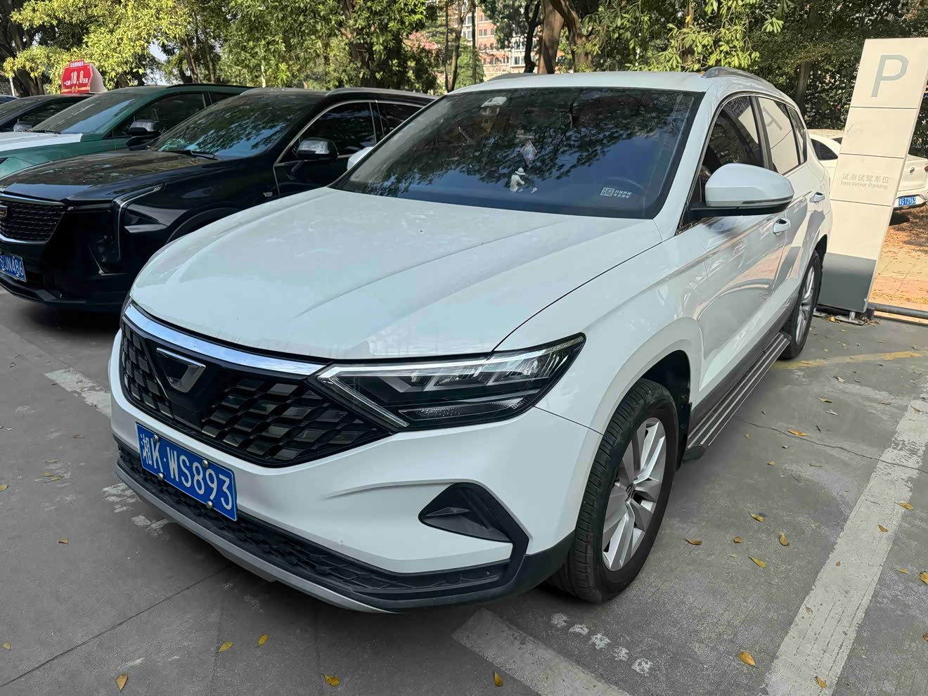 Jetta VS5 2019 car image 