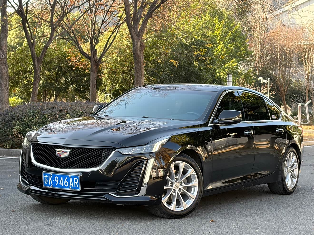 2023 2023 car image