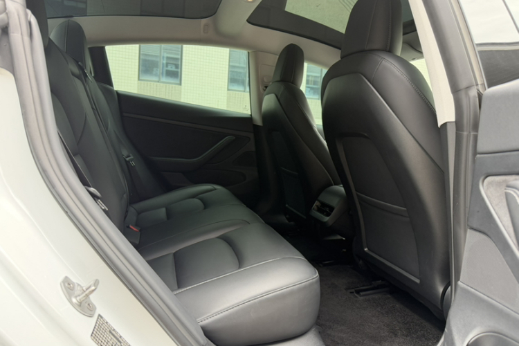Tesla Model 3 2020 car image #15