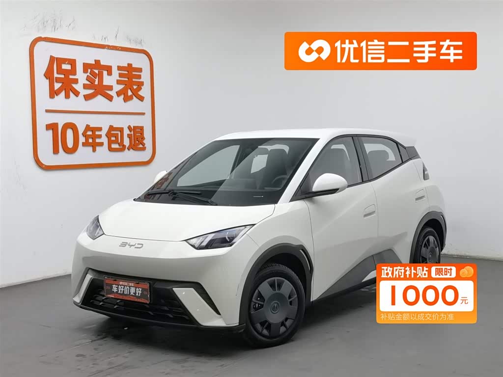 BYD Seagull 2025 car image 