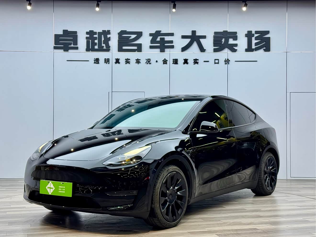 Tesla Model Y 2021 car image 