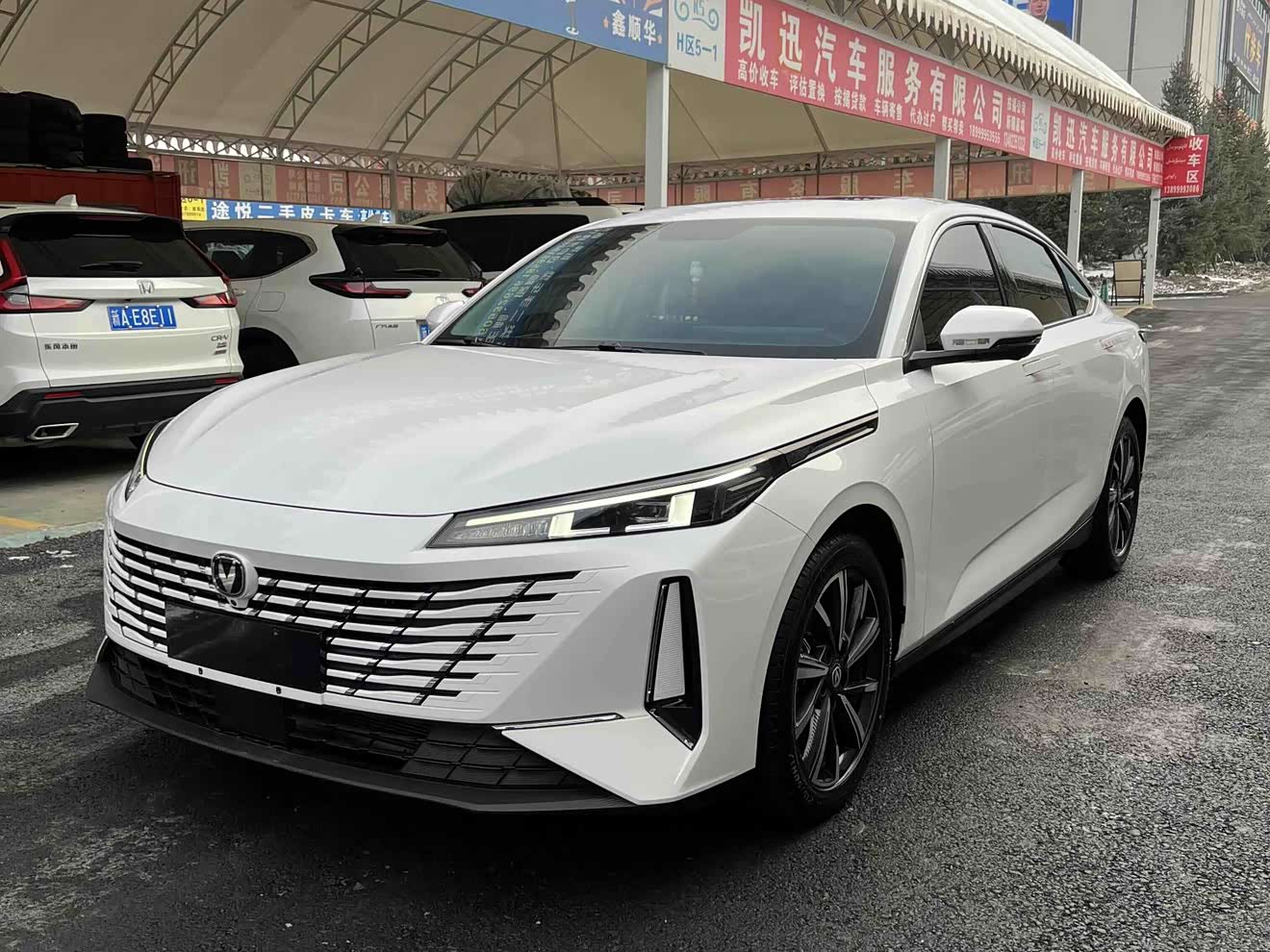 Changan Eado 2024 car image 