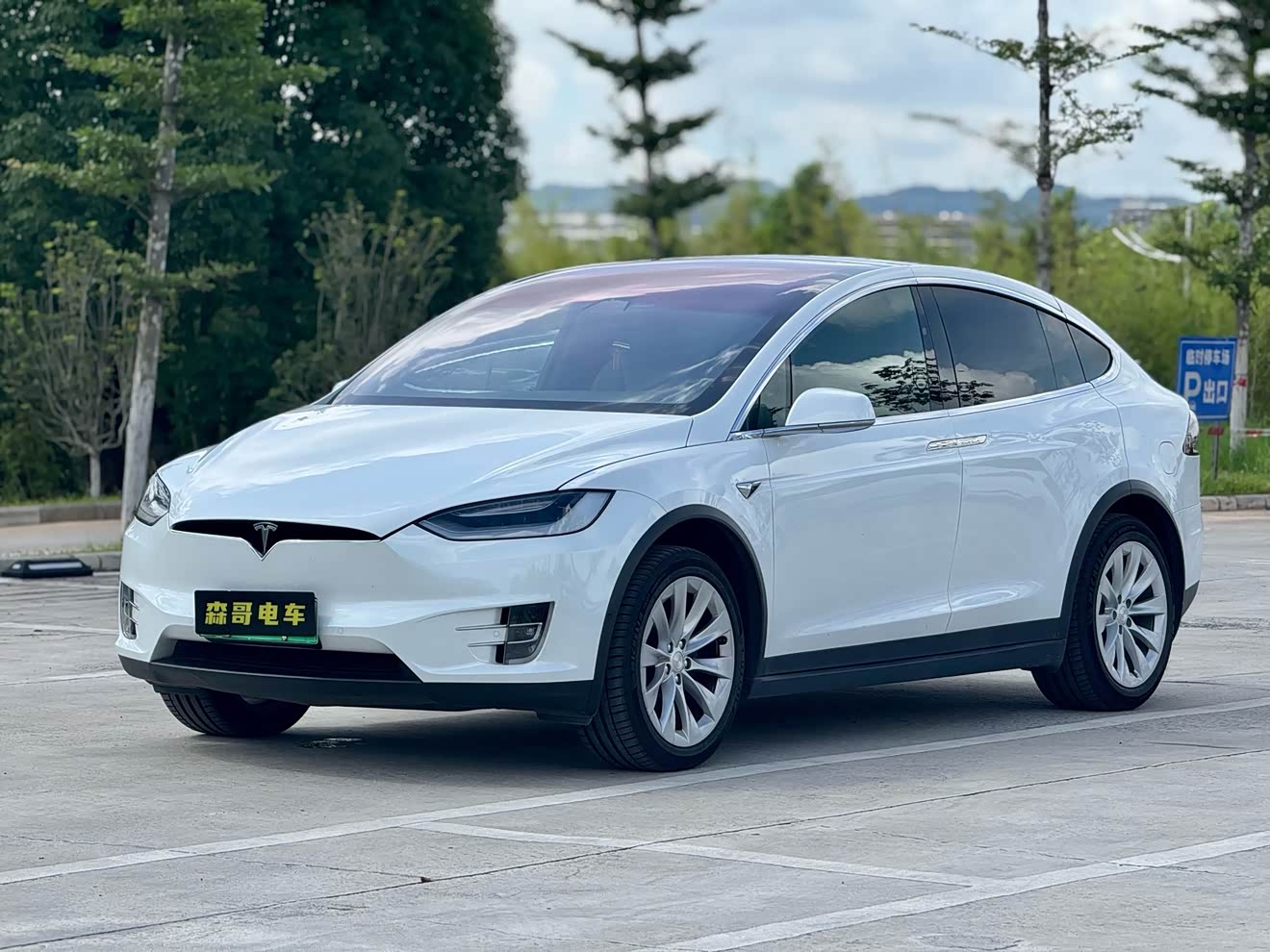 Tesla Model X 2020 汽车图片 