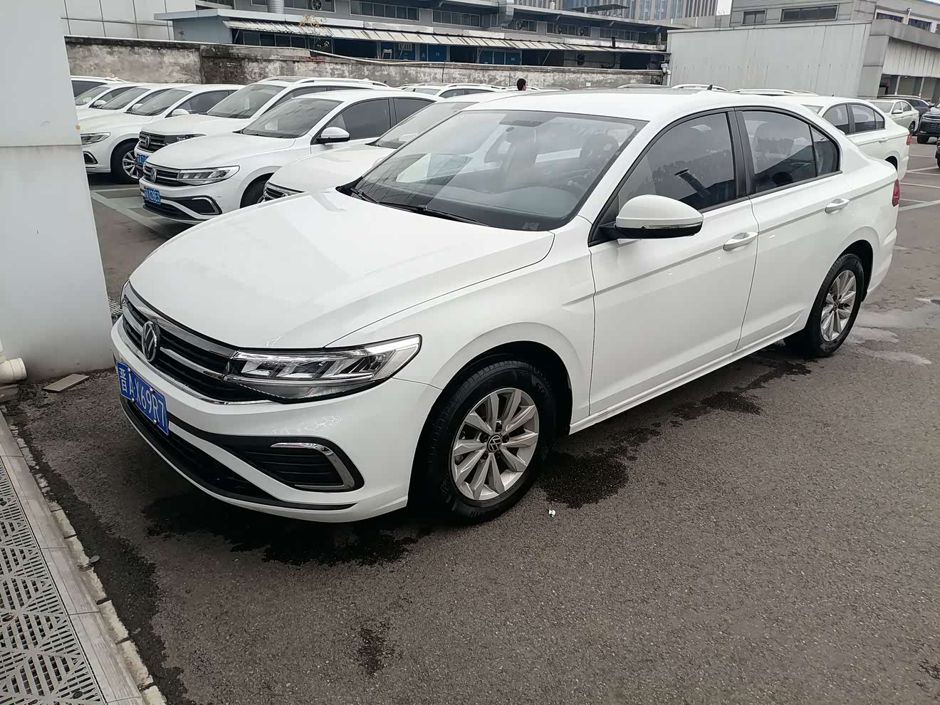 大众 宝来 2024 汽车图片 