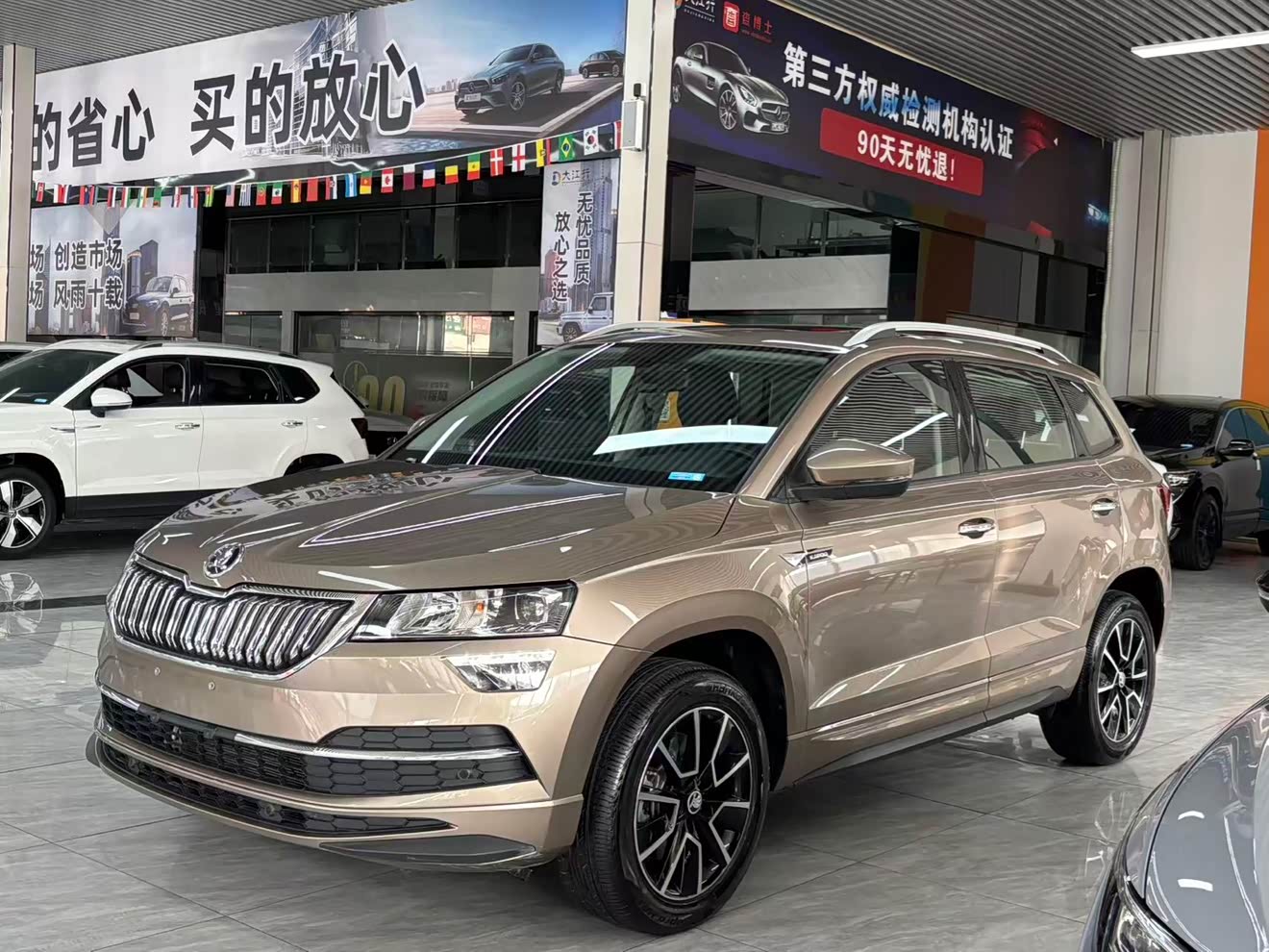 Skoda Karoq 2022 car image 