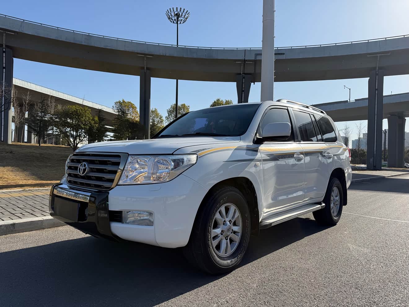 Toyota Land Cruiser 2011 Toyota Land Cruiser 2011 immagine di auto