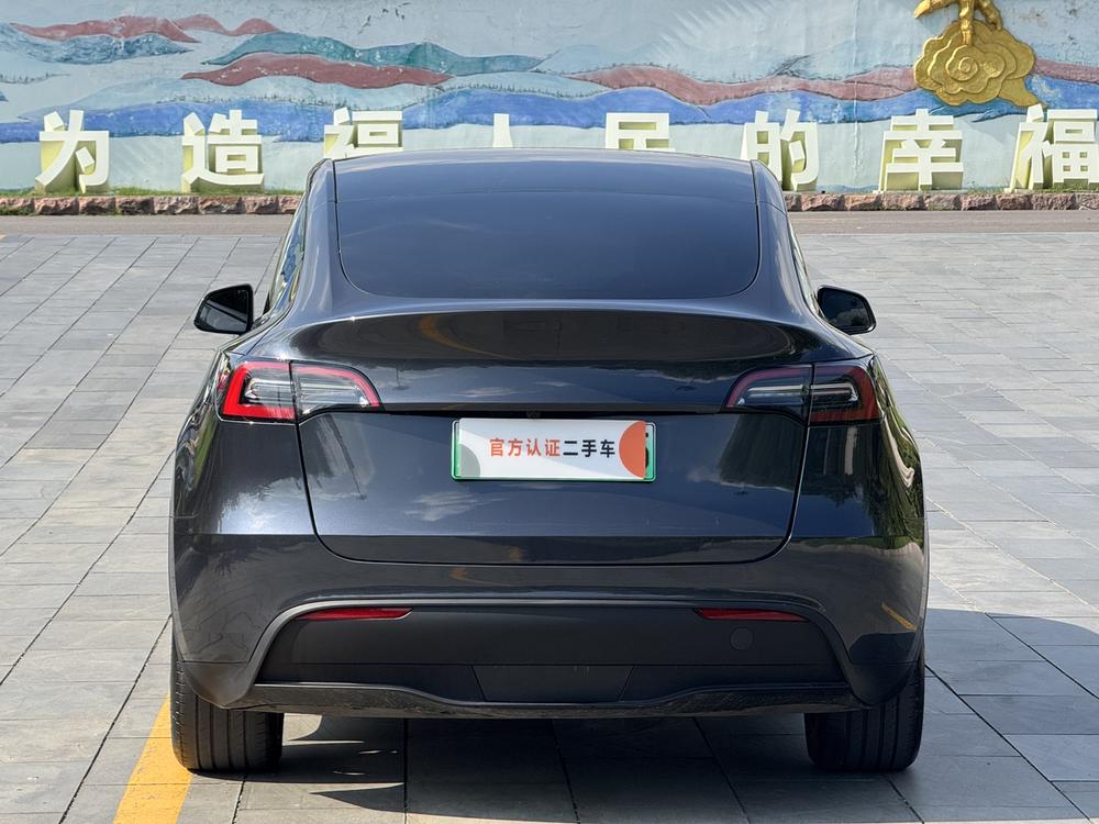 Tesla Model Y 2025 car image #6
