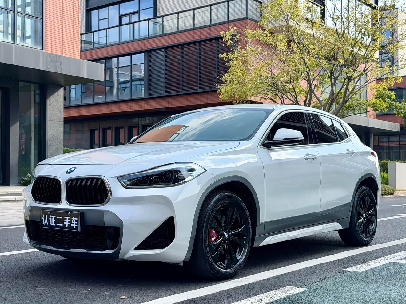 BMW X2 2020 car image 