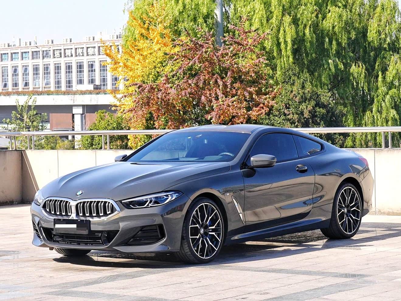 BMW 8 Series 2024 car image 