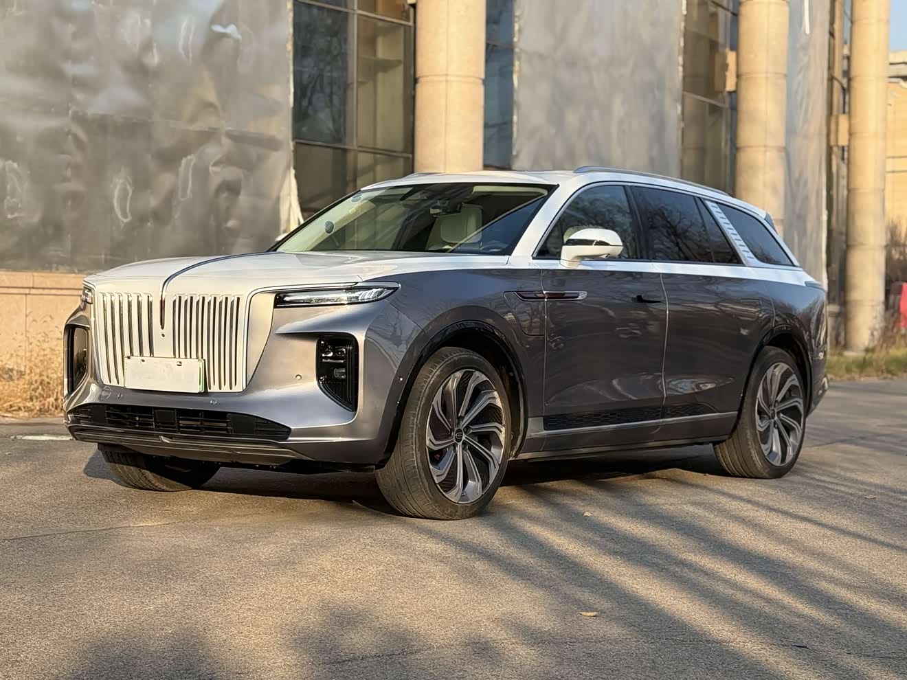 HongQi E-HS9 2020 car image 
