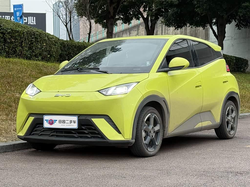 BYD 2024 car image 