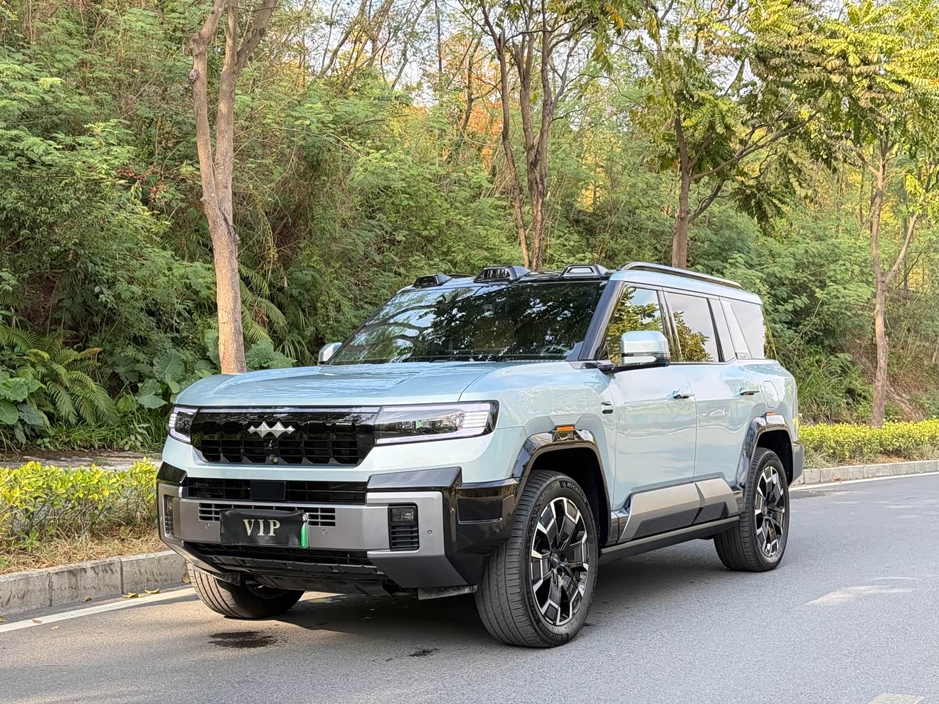 方程豹 豹8 2024 汽车图片 