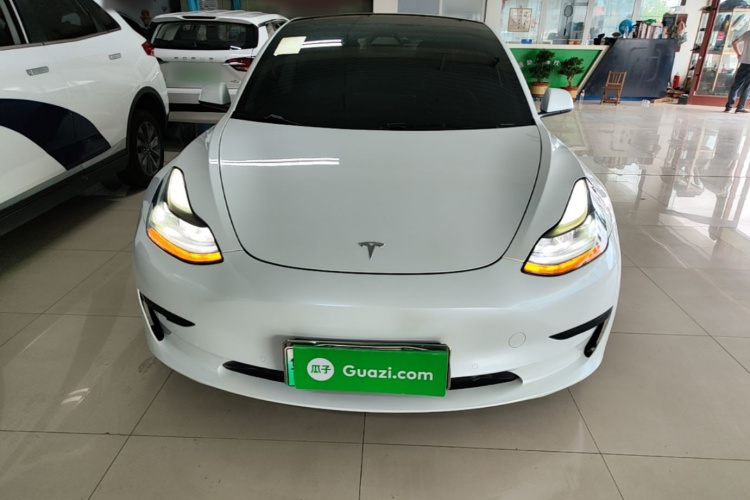 Tesla Model 3 2021 #3 Tesla Model 3 2021 car image #3