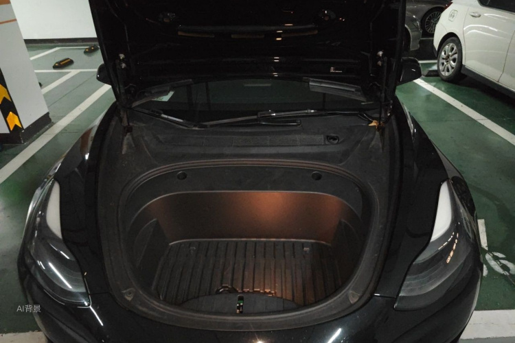 Tesla Model 3 2021 car image #22