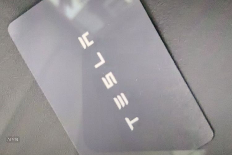 Tesla Model 3 2022 #10 Tesla Model 3 2022 car image #10