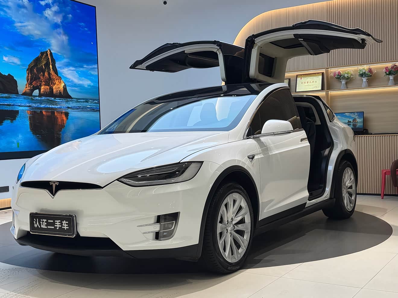 Tesla Model X 2017 汽车图片 